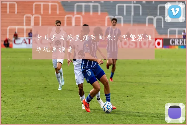 今日乒乓球直播时间表：完整赛程与观看指南
