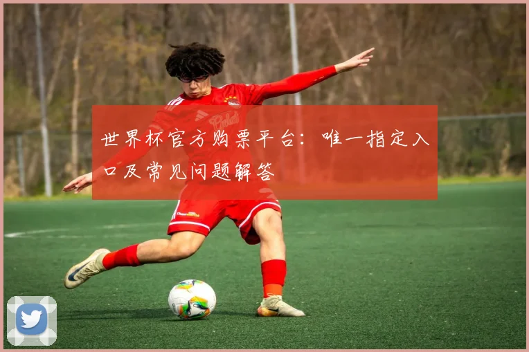 世界杯官方购票平台:唯一指定入口及常见问题解答