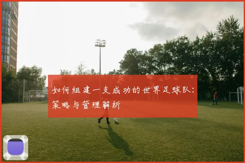 如何组建一支成功的世界足球队：策略与管理解析