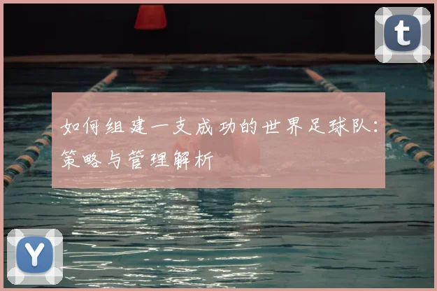 如何组建一支成功的世界足球队：策略与管理解析