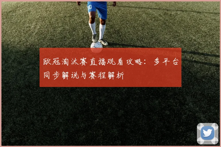欧冠淘汰赛直播观看攻略：多平台同步解说与赛程解析