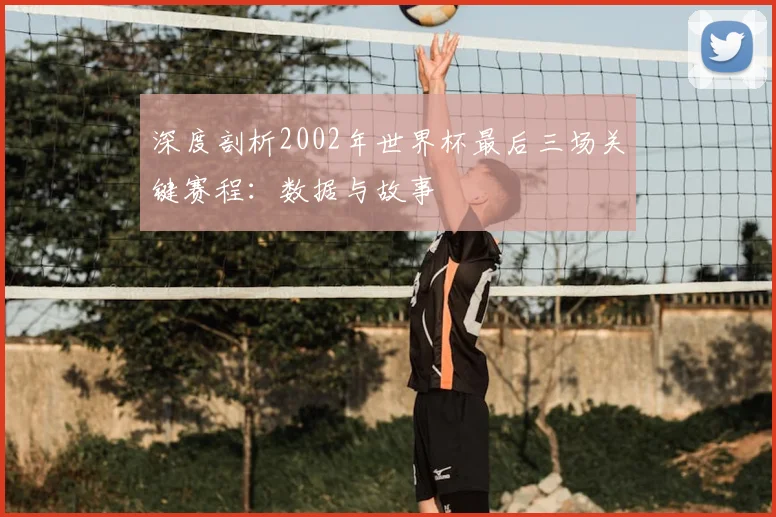 深度剖析2002年世界杯最后三场关键赛程：数据与故事