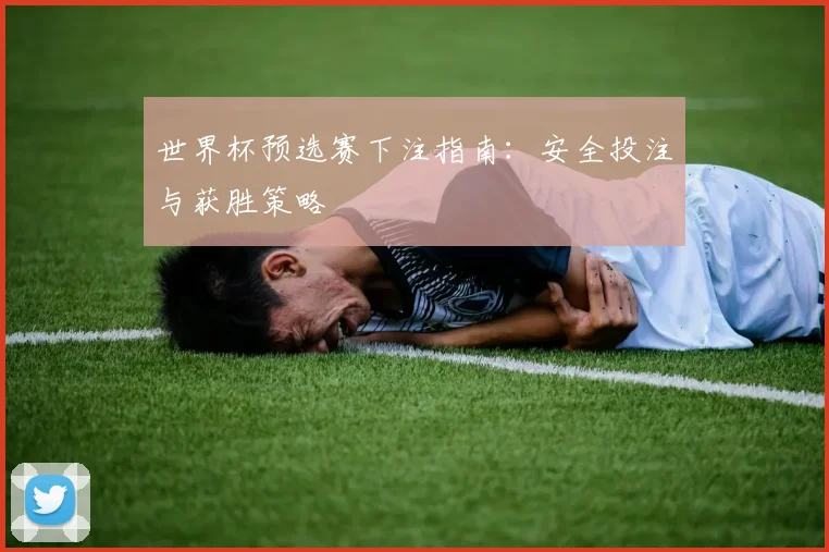 世界杯预选赛下注指南：安全投注与获胜策略