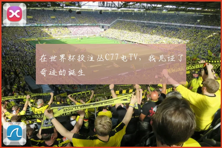 在世界杯投注丛C77电TV，我见证了奇迹的诞生