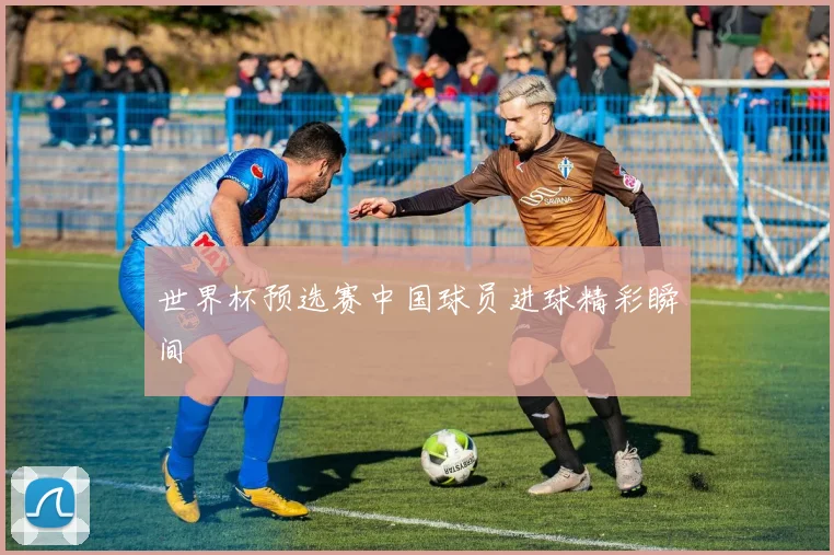 世界杯预选赛中国球员进球精彩瞬间