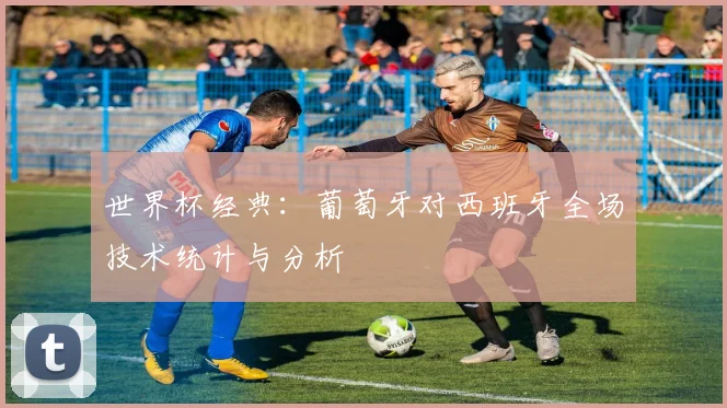 世界杯经典:葡萄牙对西班牙全场技术统计与分析