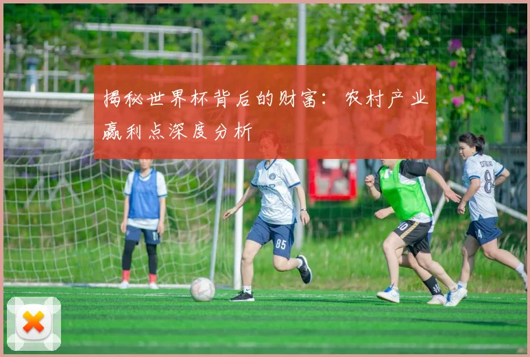 揭秘世界杯背后的财富：农村产业赢利点深度分析